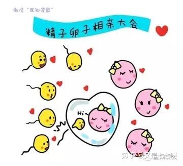 在广州如何做试管婴儿能最省钱还有保障