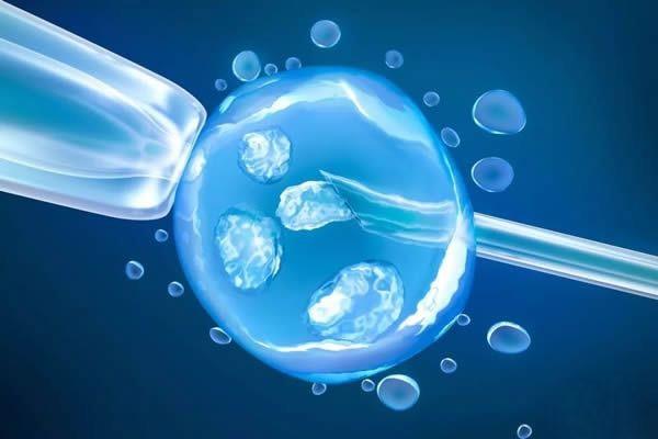广州试管婴儿促排期应该怎么做才能提高卵子质