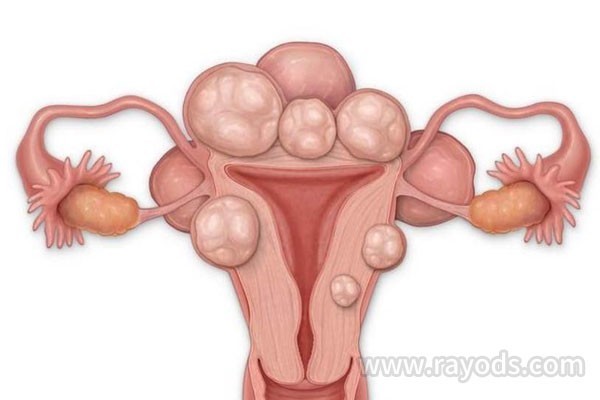 怀孕6周胎儿图怀孕6周症状和注意事项