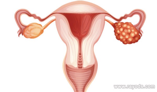 试管婴儿胚胎不受精的原因有哪些？