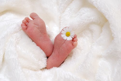 广州的试管婴儿对卵巢的伤害大吗？对这些要点进行了详细的分析!