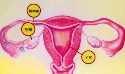 广州哪家医院的卵巢炎治疗技术好？