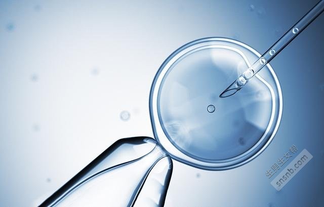 胚胎中的高破碎率有什么影响？提高胚胎高碎裂率的方法